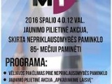 Jaunimo pilietinė akcija